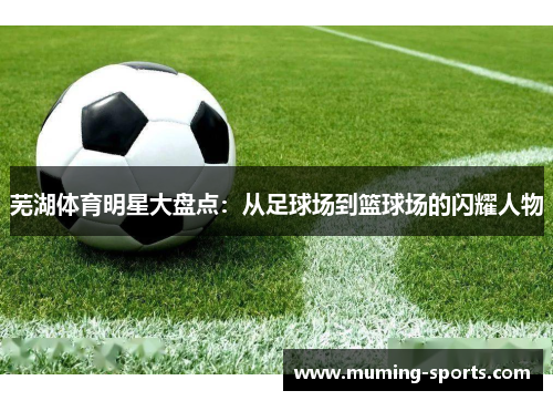 芜湖体育明星大盘点：从足球场到篮球场的闪耀人物
