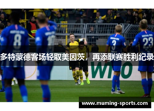 多特蒙德客场轻取美因茨，再添联赛胜利纪录
